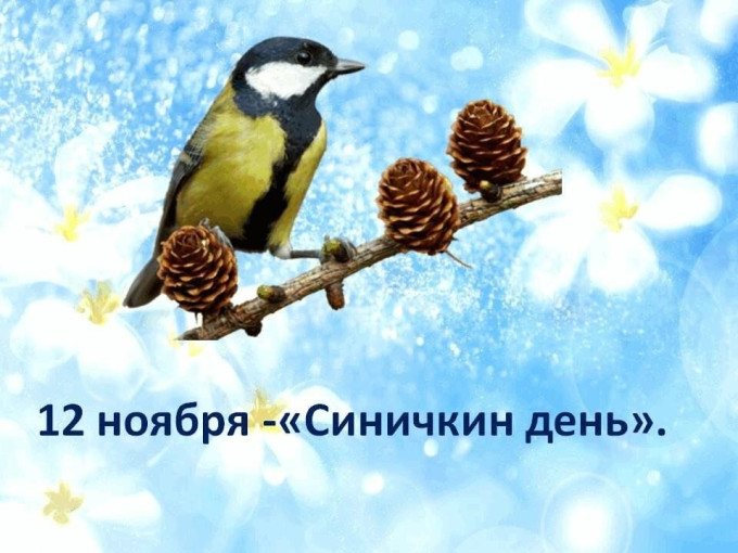 "Синичкин день" "Синичкин день".